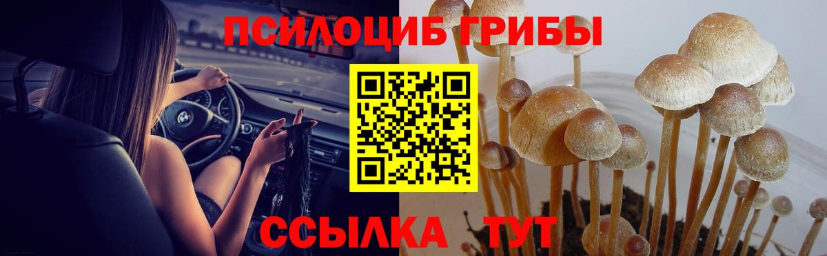 Псилоцибиновые грибы мицелий  Псилоцибиновые грибы Psilocybe  Октябрьский  Вход с VPN 